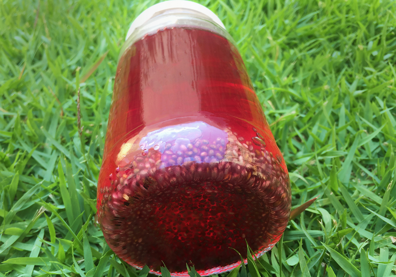 4 lanches para preparar no pote