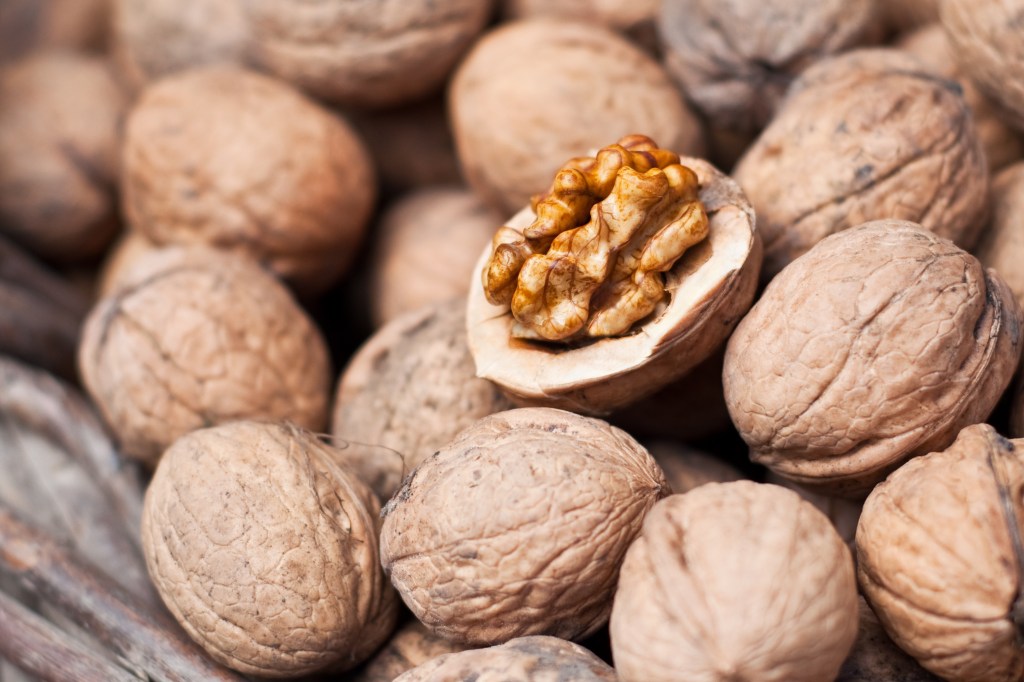 nozes Manteigas de nuts: a tendência fit que você precisa conhecer