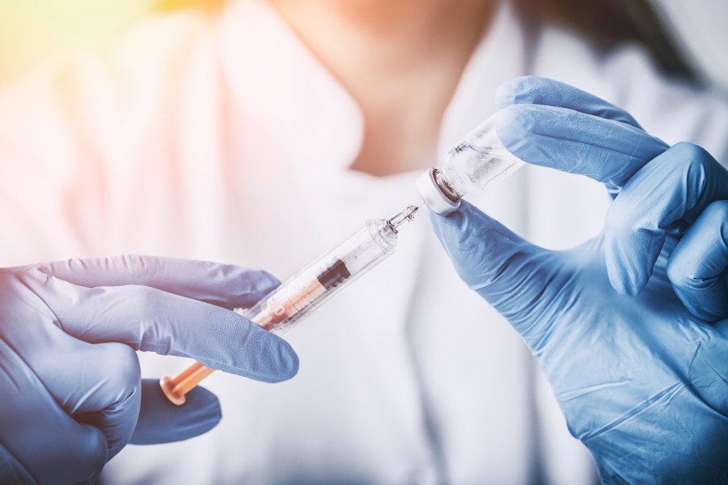 Ter zika pode prevenir dengue (e vice-versa), alertam estudos