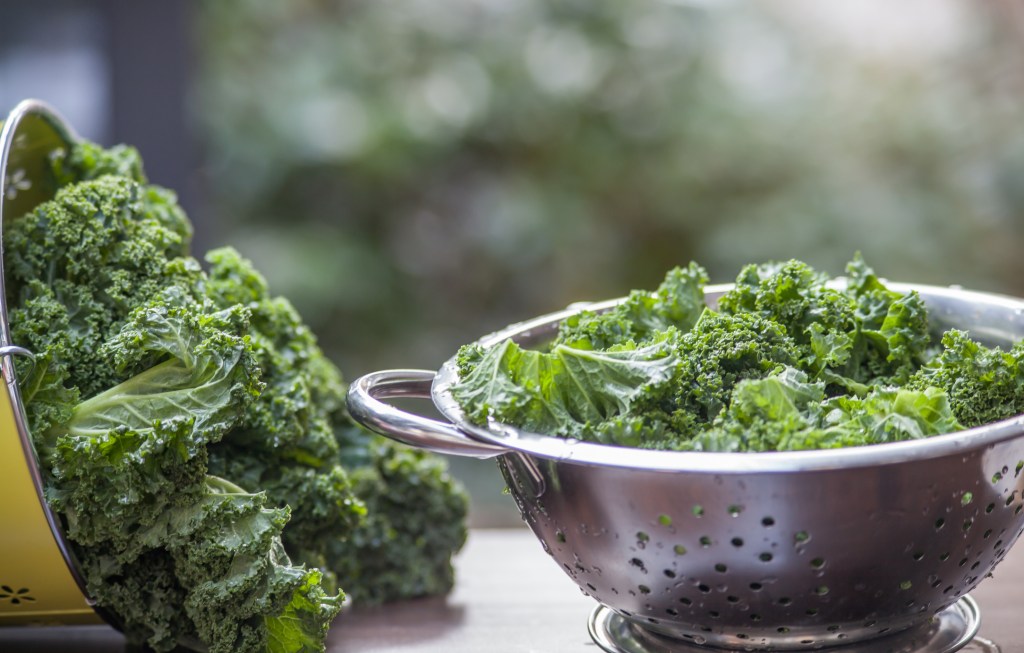 Couve crua Nutrição e fertilidade: o que comer para aumentar a chance de engravidar