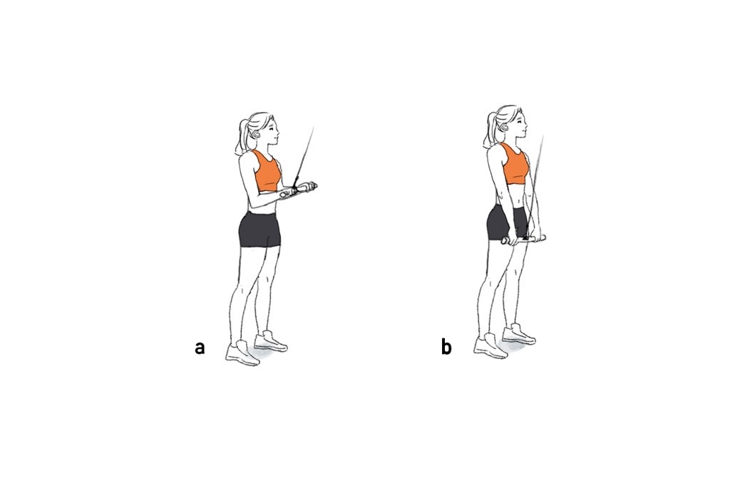 Treino de musculação de Claudia Leitte para fazer na academia