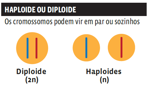 AUla 26 - Pag 18-2