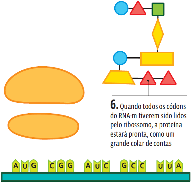 AUla 26 - Pag 21-4