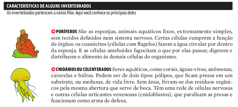 caracteristicas_invertebrados1