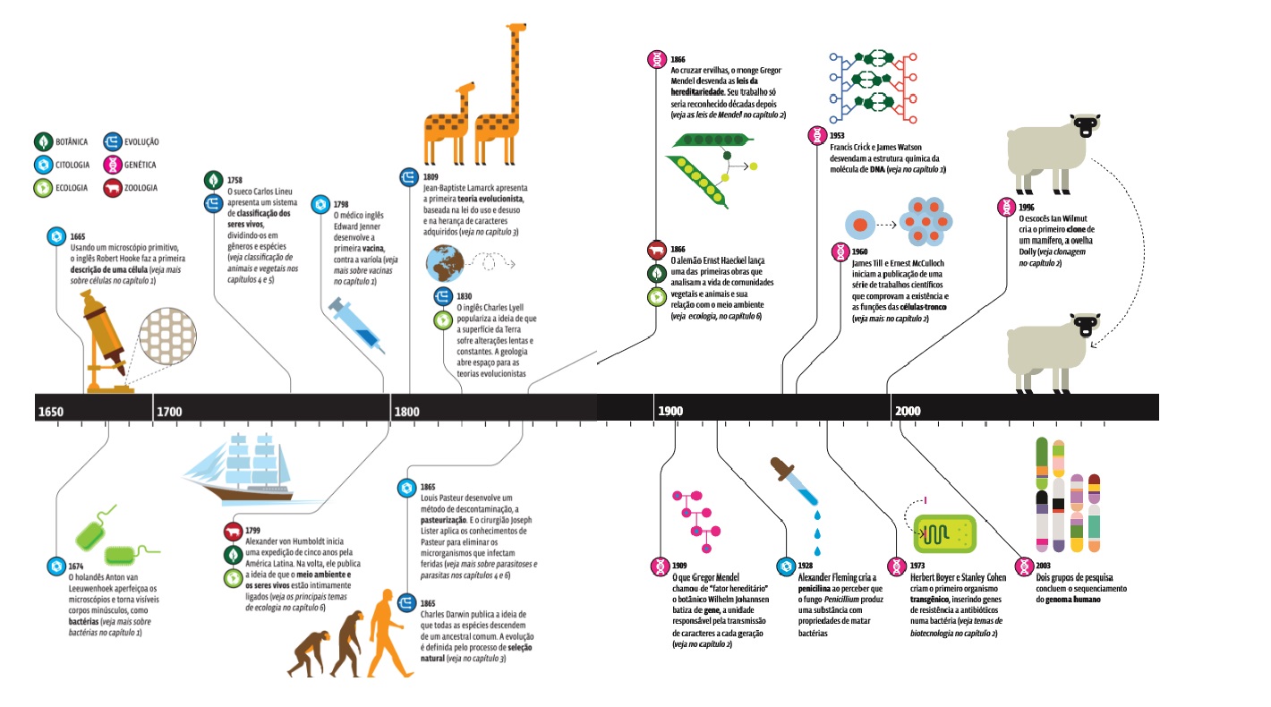 infográfico