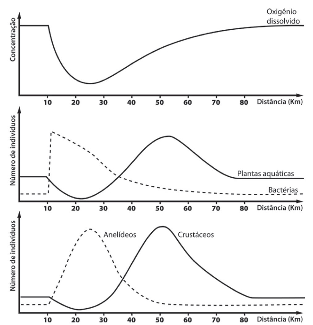 BIO - pag 119-01