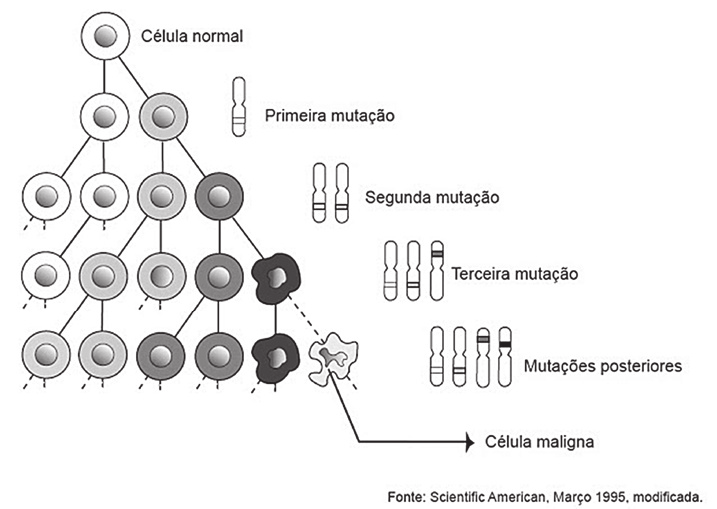 DIVISAO_CELULAR_QUESTAO_8