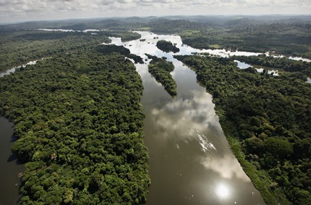 amazonia1.jpg Universidade Nilton Luís oferece doutorado em Aquicultura