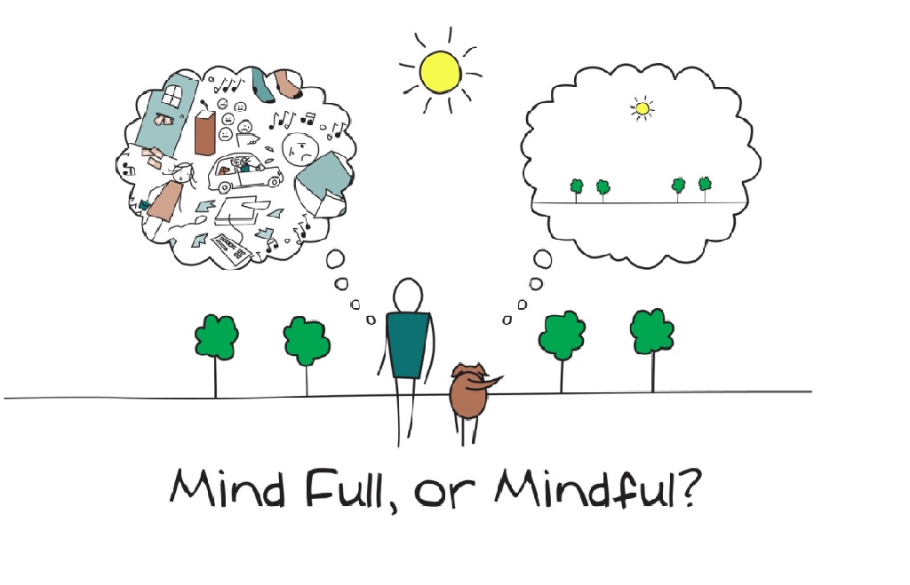 mind-full-or-mindful Mindfulness aumenta concentração e reduz ansiedade pré-vestibular