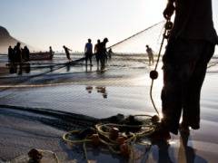 Programa dar&aacute; certificado para trabalhador informal que passar em prova