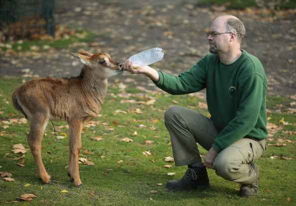 Gosto de animais e natureza, mas uma doença me impossibilita de seguir carreiras nessas áreas. O que faço?