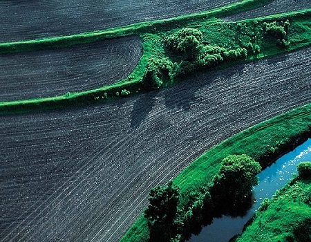 As carreiras que você pode seguir com Gestão Ambiental