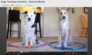 Estude Qu&iacute;mica com &ldquo;professores c&atilde;es&rdquo;