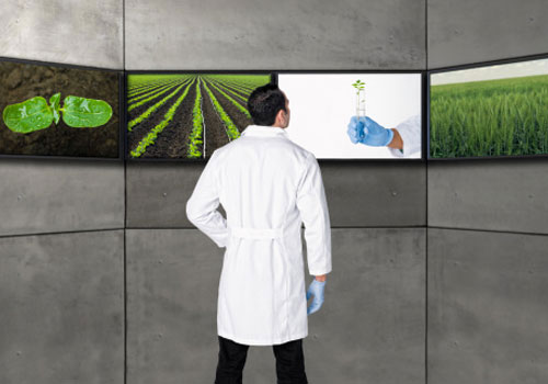 Os 10 melhores cursos de Agronomia do Brasil