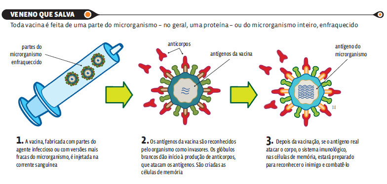 Os EUA aprovaram um medicamento que previne contra o vírus da AIDS. Veja como ele funciona e relembre conceitos de biologia
