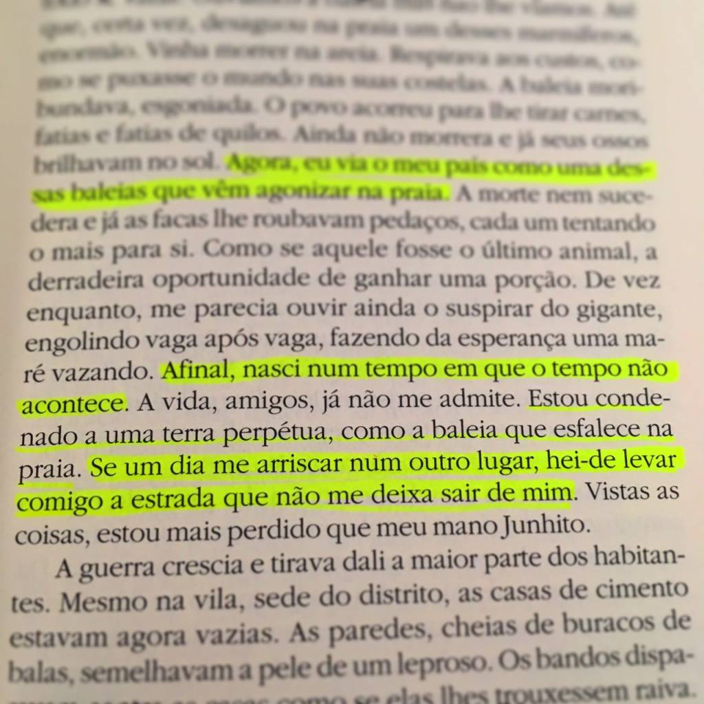 Clube do Livro GE: 5 fatos sobre “Terra Sonâmbula”, de Mia Couto