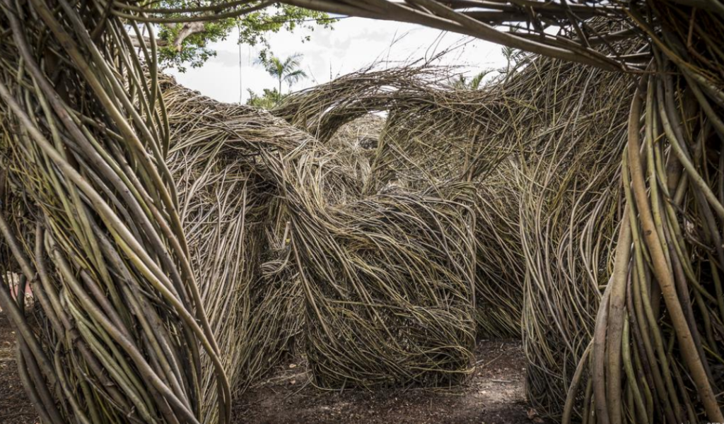 Miami Art Basel 2017: As esculturas gigantes de Patrick Dougherty